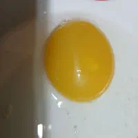 تخم غاز نطفه دار هرکی ازم برد راضی بود