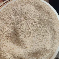 برنج سالو ونیم دانه طارم رودبار