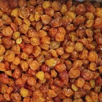 انواع آلو امساله