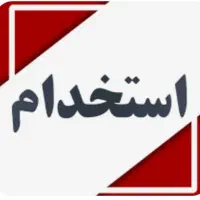استخدام نیرو کار