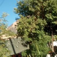اسکان موقت