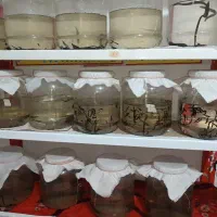 آموزش پرورش زالو|خدمات آموزشی|تبریز, |دیوار