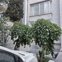 270مترکلنگی-بر-اصلی-مسکونی-پهنه-M