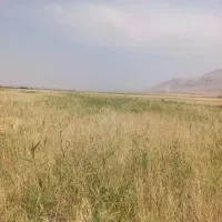 زمین اجاره ای