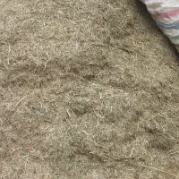 علف گزره علف باغ
