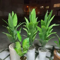 درخچه مصنوعی پرنده بهشتی