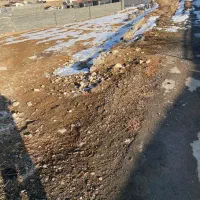 زمین-300متری