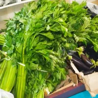 سبزی تازه قیمت میدان تره بار  کرفس کوکو قرمه آش|خوردنی و آشامیدنی|فردیس, فردیس|دیوار