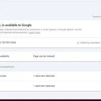 سایتت از گوگل حذف شده. بازیابی فوری ورودی سایت