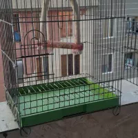 قفس پرنده