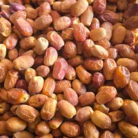 خرما لوکس زاهدی