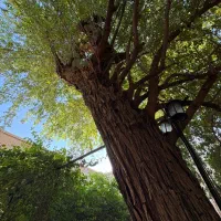 نیازمند نیرو خانه داری و نگهبانی هتل