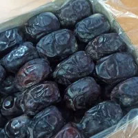 خرما یکدست