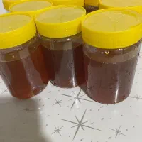 عسل کندویی