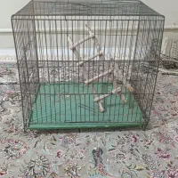 قفس