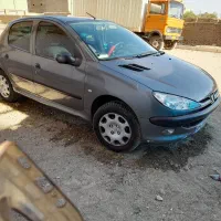 پژو ۲۰۶ فرانسوی سلامت