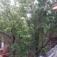 خانه-ویلایی