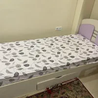 تخت و میز تحریر و صندلی|تخت و سرویس خواب|رشت, کاکتوس|دیوار