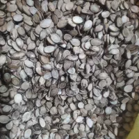 فروش تخمه هندوانه وکدو بذری و خوراکی