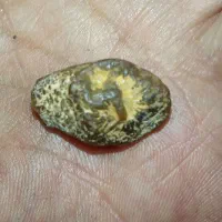 سافایر گلدن سافایر یاقوت زرد