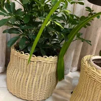 سبدهای حصیری|صنایع دستی و سایر لوازم تزئینی|شیراز, شهرک مهدیه|دیوار