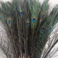 فروش/پر طاووس وارداتی تک و عمده|گل مصنوعی|تهران, افسریه شمالی|دیوار