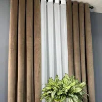 پرده مخمل کالیفرنیا حراج