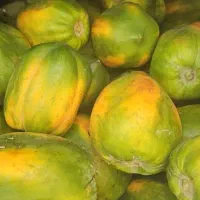 پاپایا|خدمات باغبانی و درختکاری|زرآباد, |دیوار