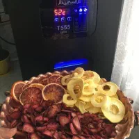 دستگاه میوه خشک‌ کن T555|سایر لوازم برقی|شیراز, بعثت|دیوار