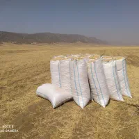 کاه گندم|لوازم جانبی حیوانات|ایلام, |دیوار