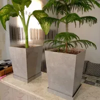 گل و گلدان