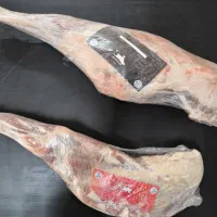 گوشت گوسفندی منجمد مغولستانی