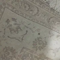 فرش، کار کزده|فرش|گرمسار, |دیوار