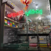 پت شاپ ققنوس