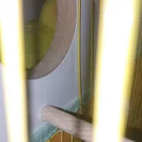 ماهشهر فاز ۷|پرنده|بندر ماهشهر, |دیوار