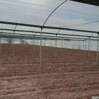 فروش-گلخانه-ماهان