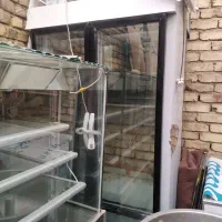 یخچال قنادی