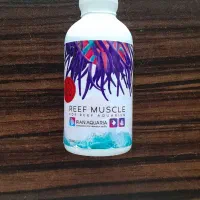 مهتابی جیسمان اب شور و محلول ریف ماسل|ماهی|اصفهان, صائب|دیوار