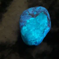 گوهر شب چراغ