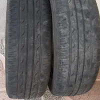 لاستیک ساینا