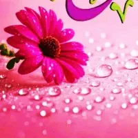 جو یا ی.  ش غ ل م