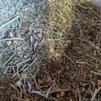 اسپند ریز