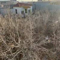 فروش باغ فوری|فروش خانه و ویلا|فولادشهر, B6|دیوار