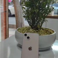 iphone 13 normall
