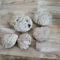 سنگ آکواریوم