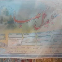 فرش ماشینی ۶ متری زمینه لاکی|فرش|قم, بنیاد|دیوار