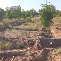 باغ فروشی|فروش زمین و ملک کلنگی|خوسف, |دیوار