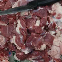 قربانی گوسفند