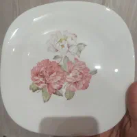 ارکوپال خارجی روزیتا