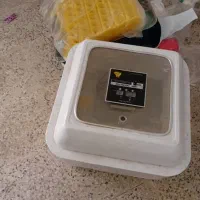 دستگاه جوجه کشی ودستگاه تتوروی انگشتر وگردن بند